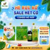 Combo Siro Ho Ong Vàng (H/30g) + Eurogincare (H/100v)